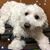 Sue Hagerstrom Gilbert's profile image
