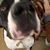 Frances McBride Harrell's profile image