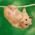 Wendy Allen Wieder's profile image