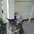 Michael Bulach's profile image