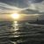 Michele Conard's profile image