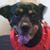 Farina James's profile image