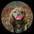 Ceil Langel's profile image