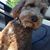 Tara Margolis Calvo's profile image