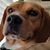 Rita N Paul Thomson's profile image