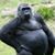 Bart Mcleod's profile image