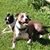 Kathy Duvall's profile image