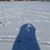 Hana Busedra's profile image