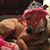 Joanne Manning Yeager's profile image