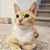 Aster Guan's profile image