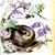 Linda Skemp's profile image