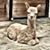 Katy Dotson's profile image