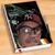 Alexander Montero's profile image