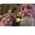 Carol Steeves's profile image