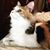 Karen Walters Bynum's profile image