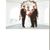 Dawn Farley Whalen's profile image