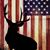 Mike Tomidajewicz's profile image
