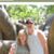 Becky Van Hout's profile image