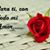 Ana Fuentes's profile image