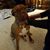 Barbara Patterson Kett's profile image