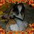 Danielle Demchak's profile image