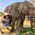 Jes Ann Nail's profile image