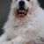 John Schick's profile image