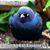 Cynthia Hawk Wortman's profile image