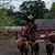 Jessica Owen Thompson's profile image