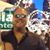 Steve Gerasimovich's profile image