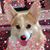 Susan Sanders's profile image