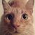 Michele Rowell's profile image