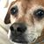 Millicent Lopes's profile image
