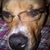 Randy Pearson's profile image