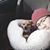 Tina Truong's profile image