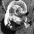Shannan A Aguilar's profile image