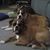Ronny Buerger's profile image