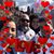 Evelyn Cordero's profile image