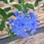 Sharon Palomo's profile image