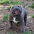 John Kosmata's profile image