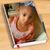 Sonya Grubbs's profile image