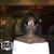 KaTonya Hamilton's profile image