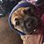 Darla Ooley's profile image