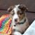 Cheryl Jacobson's profile image