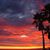 Susie Behr's profile image
