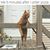 Valerie Perlinger-Gale's profile image