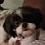 Fran Trombetta's profile image