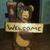Jose Antonio Orduñez's profile image