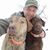Stu Smith's profile image