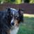 Kristie Shew-Smith's profile image